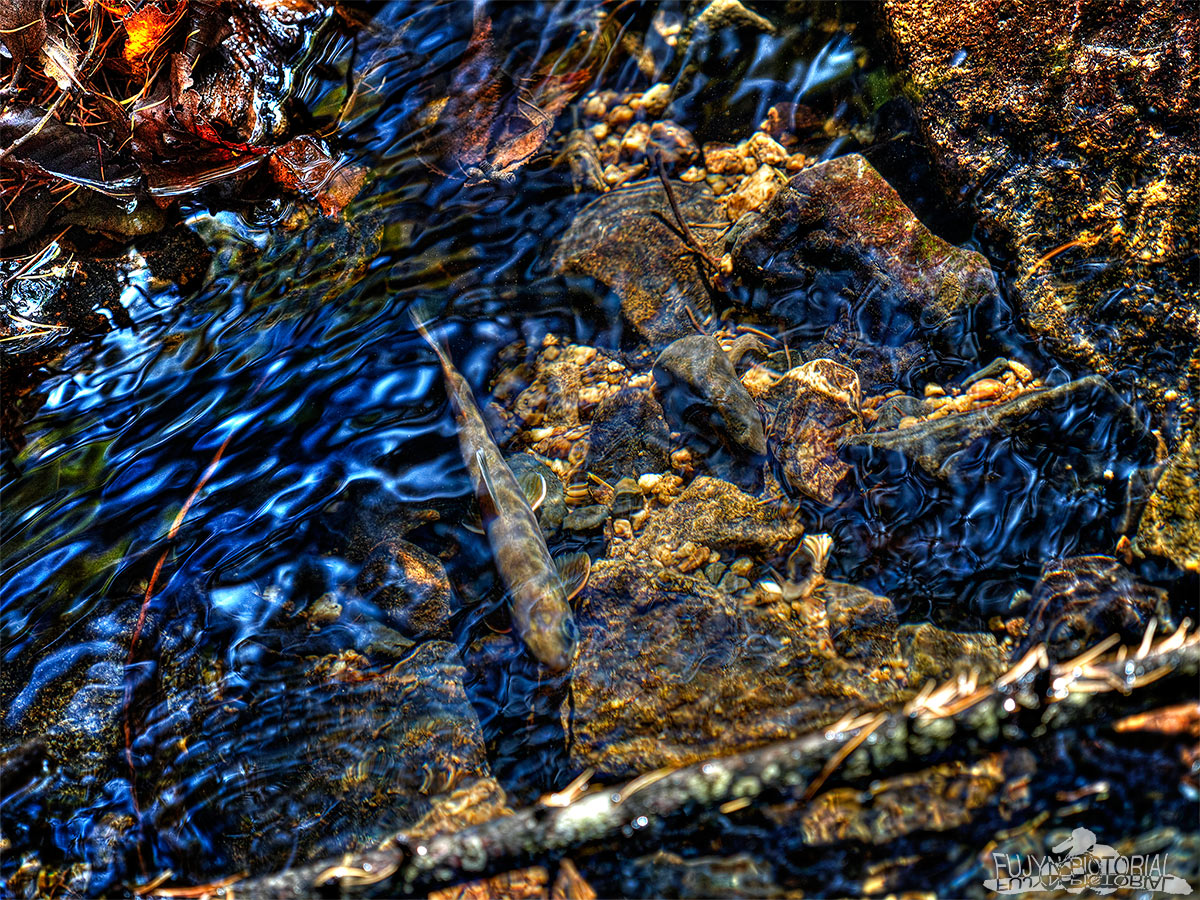 b0135347_22301052.jpg
