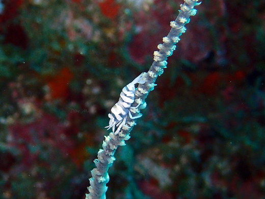 b0236647_141675.jpg