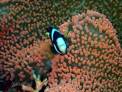 b0236647_143129.jpg