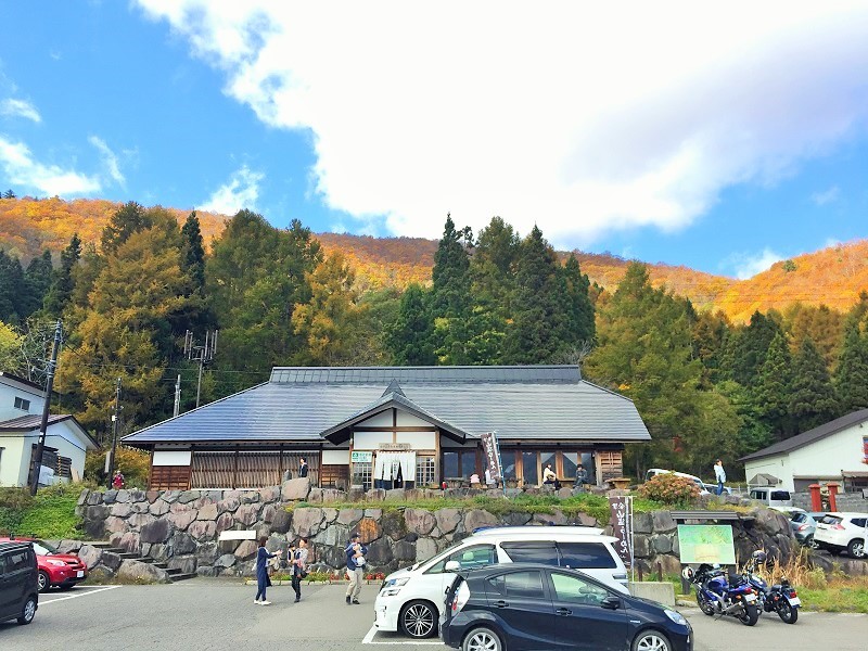 落葉でズルズル 山塩ラーメンでズルズル_c0261447_22151598.jpg