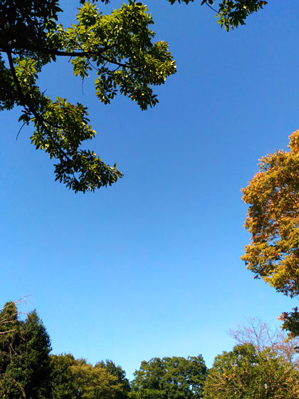 c0335348_14502324.jpg