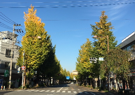e0172950_213212.jpg