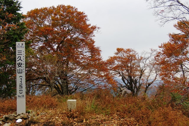 三久安山_b0227552_20510930.jpg