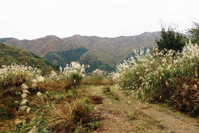 三久安山_b0227552_20531971.jpg