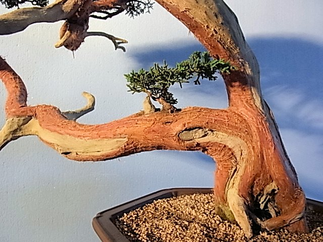f0147853_20111040.jpg