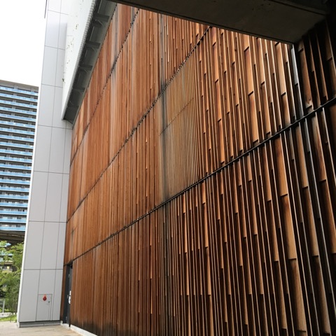 a0250454_2028565.jpg
