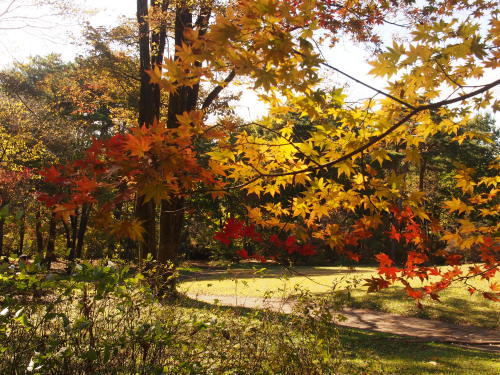 b0335256_09403296.jpg