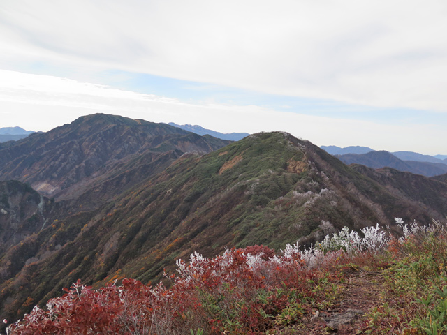 c0116856_20452845.jpg