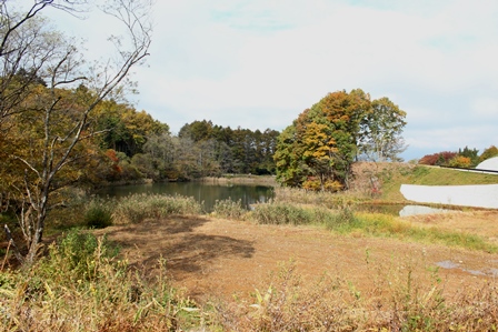 a0208560_12331218.jpg