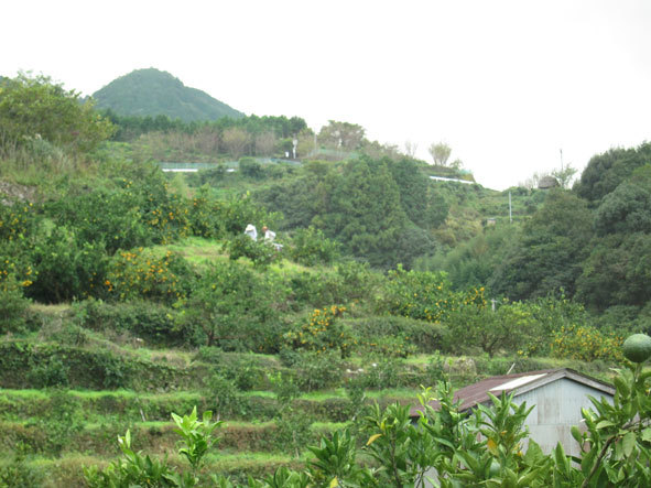 e0340660_22291469.jpg