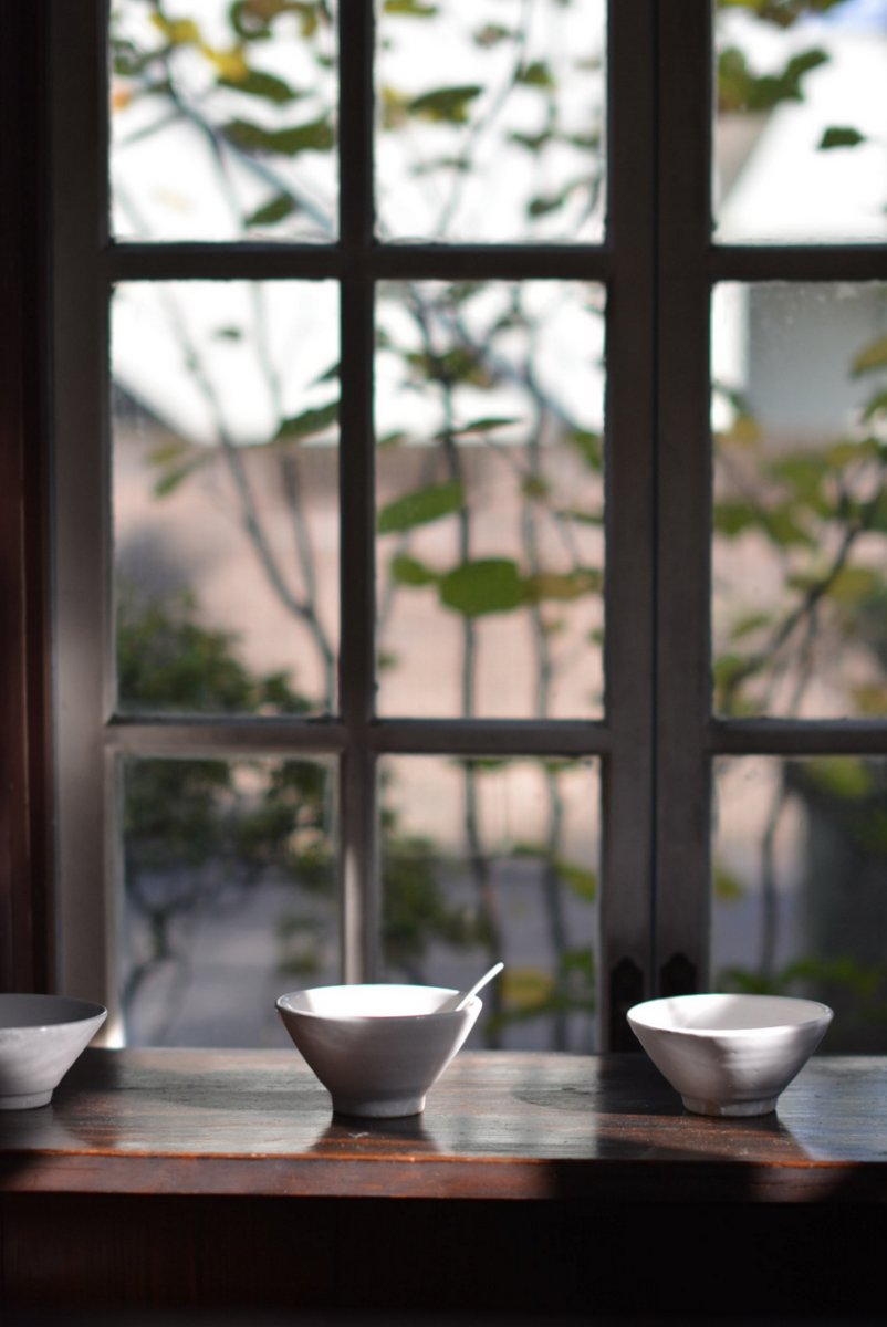 「山本忠正展 伊賀の土鍋と白い器」 白い伊賀_d0087761_16464557.jpg