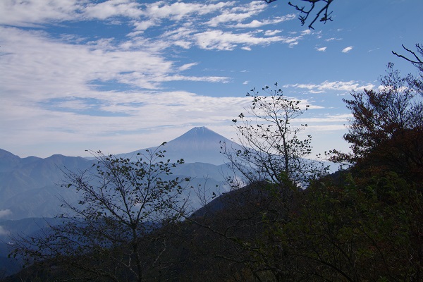 d0164761_13592752.jpg