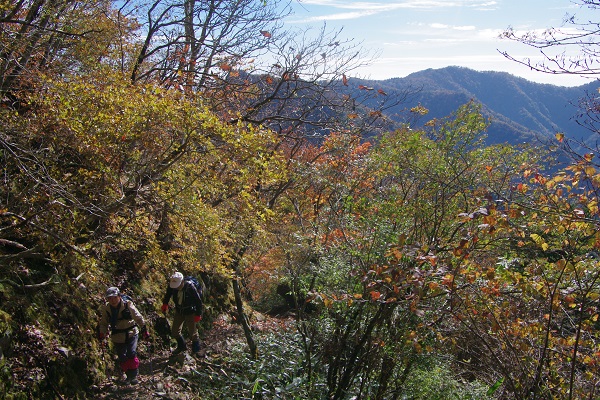 d0164761_1454599.jpg
