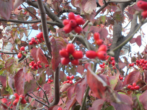 f0256164_1401293.jpg
