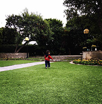 c0023165_1512407.jpg