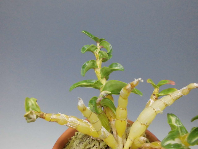 f0318967_22433791.jpg