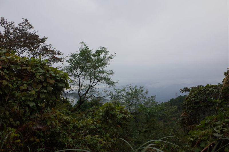 a0232368_06051299.jpg
