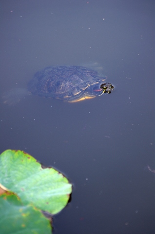 e0045768_22111742.jpg