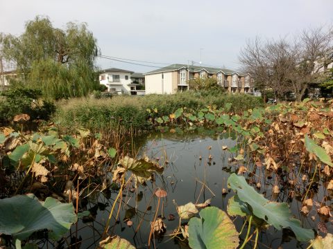 e0045768_2222732.jpg
