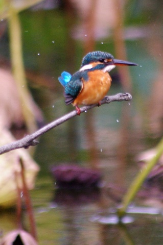 e0045768_2281263.jpg