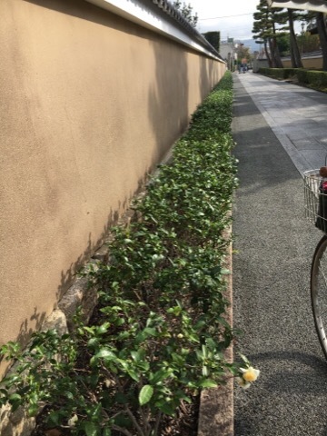 f0363168_19060716.jpeg