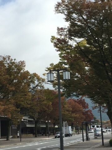 f0363168_21175251.jpeg