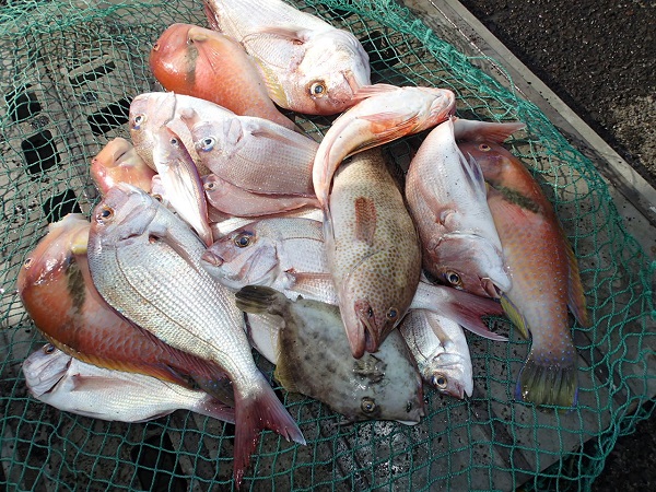 いまりマリーナ秋の釣り大会♬_a0077071_15102922.jpg