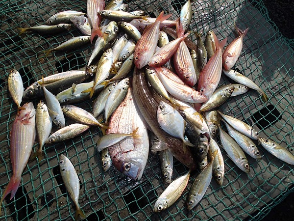 いまりマリーナ秋の釣り大会♬_a0077071_1511419.jpg
