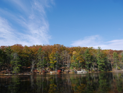 紅葉 りんご狩り16その ベア マウンテン州立公園 お気侭にっき In New York