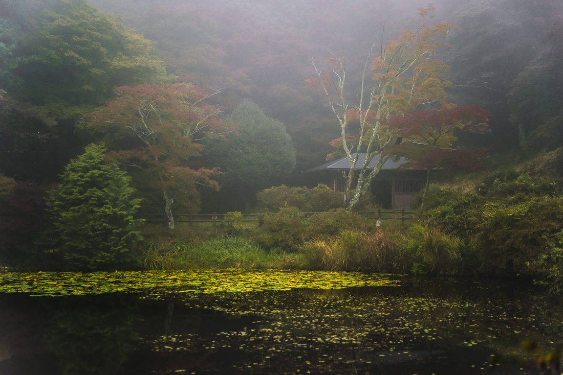 鳥見山　朝景 3 水のある風景_a0301676_18022767.jpg