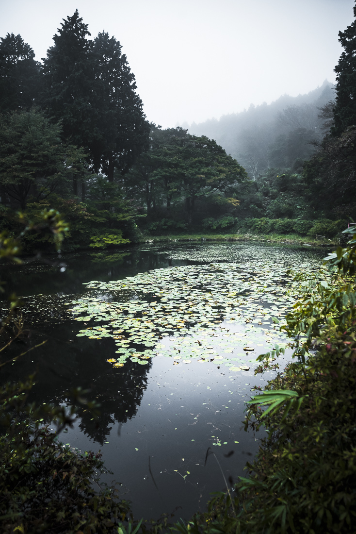 鳥見山　朝景 3 水のある風景_a0301676_18025395.jpg