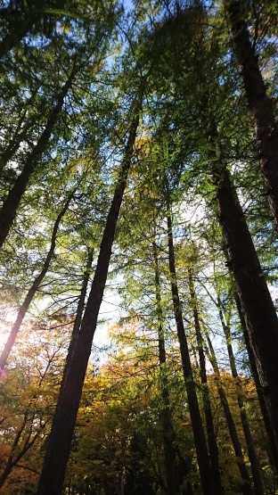 c0312878_21424449.jpg
