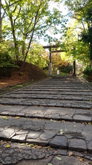 c0312878_21430506.jpg