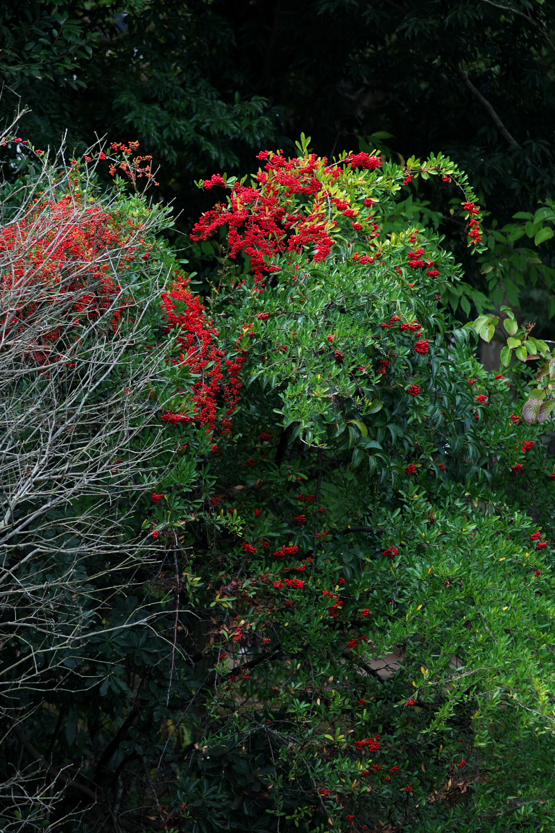 a0083081_1522875.jpg