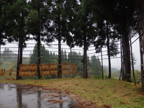 頚城の秋16 1日目_b0334084_20351080.jpg