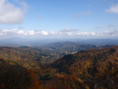 b0334084_21203651.jpg