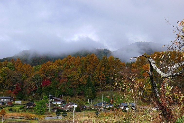 a0130586_1645084.jpg