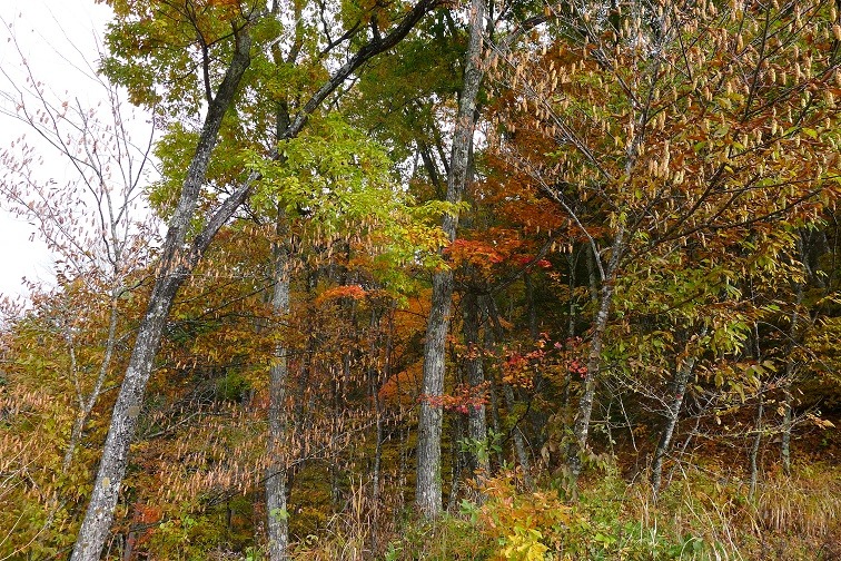 a0130586_1649763.jpg