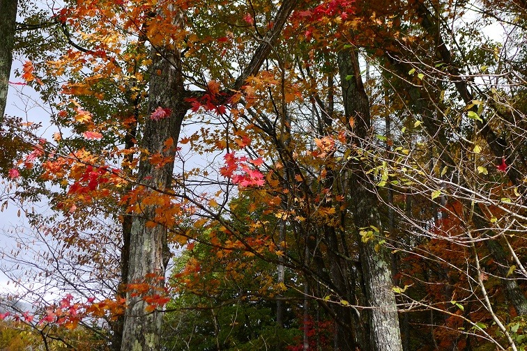 a0130586_16505166.jpg