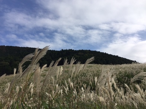 c0034391_22445725.jpg