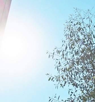 ハロウィンの夜ごはんと 11月です!丁寧に..._d0249193_10361627.jpg