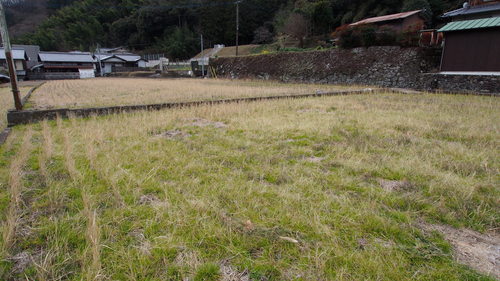 e0064493_985785.jpg