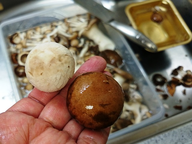フランスパンまみれ_e0167593_0304321.jpg