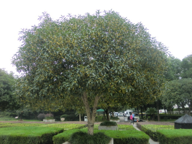 b0044296_00092094.jpg