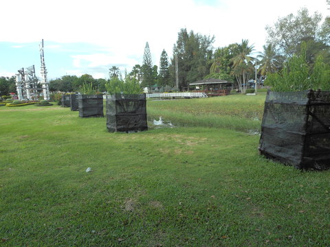 b0030201_5395314.jpg