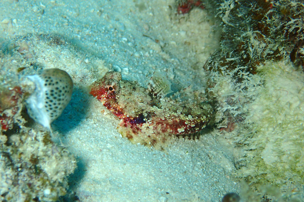 f0121701_21551532.jpg