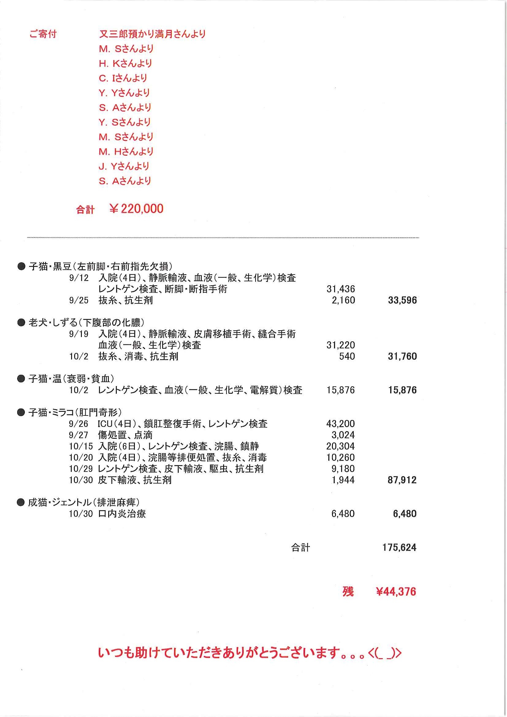 ご寄付へのお礼と医療費支出のご報告_f0242002_00134826.jpg
