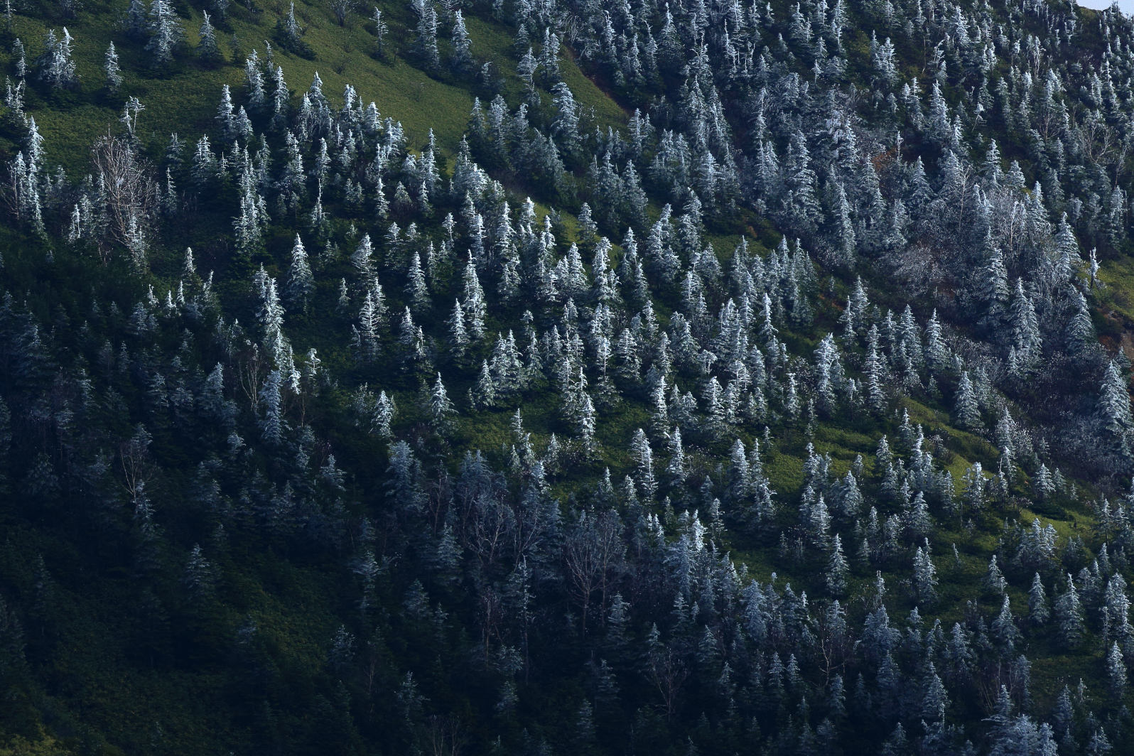 a0155104_12171987.jpg