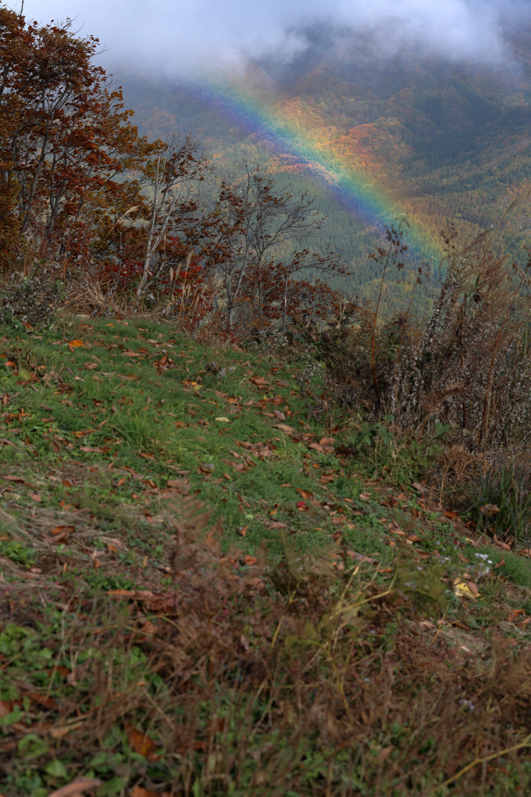 a0155104_12175039.jpg