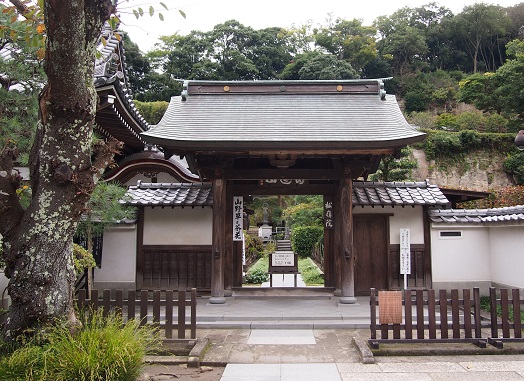 久しぶりの円覚寺、松嶺院へ(2016.11.02)_e0245404_2341219.jpg